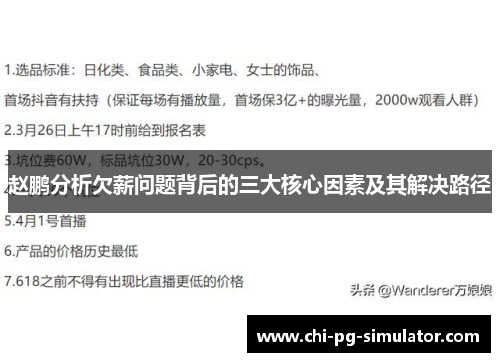 赵鹏分析欠薪问题背后的三大核心因素及其解决路径 赵鹏分析欠薪问题背后的三大核心因素及其解决路径
