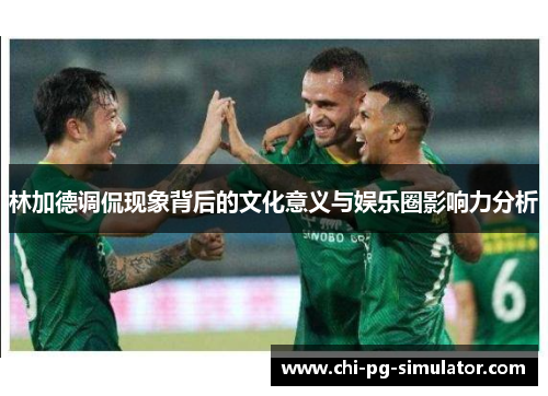 林加德调侃现象背后的文化意义与娱乐圈影响力分析