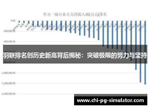 羽联排名创历史新高背后揭秘：突破极限的努力与坚持